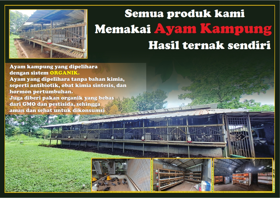 ayam kampung teras jati